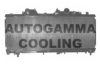 FIAT 46723249 Radiator, engine cooling